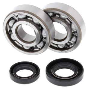 Crank Bearing and Seal Kit - no. 24-1002