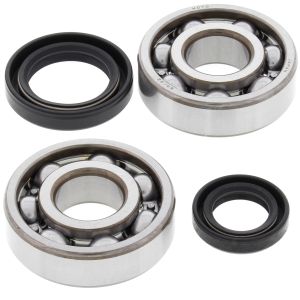 Crank Bearing and Seal Kit - no. 24-1003