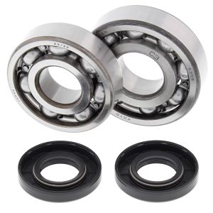 Crank Bearing and Seal Kit - no. 24-1007