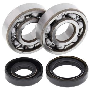 Crank Bearing and Seal Kit - no. 24-1008
