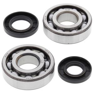 Crank Bearing and Seal Kit - no. 24-1009
