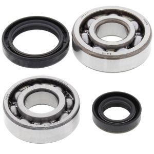 Crank Bearing and Seal Kit - no. 24-1013