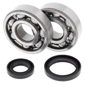 Crank Bearing and Seal Kit - no. 24-1016