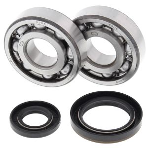 Crank Bearing and Seal Kit - no. 24-1019