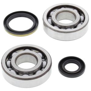 Crank Bearing and Seal Kit - no. 24-1020