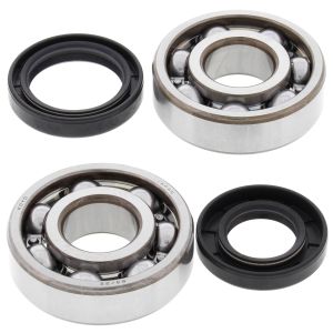 Crank Bearing and Seal Kit - no. 24-1024