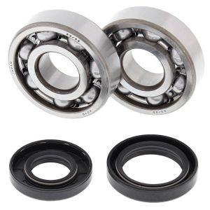 Crank Bearing and Seal Kit - no. 24-1025