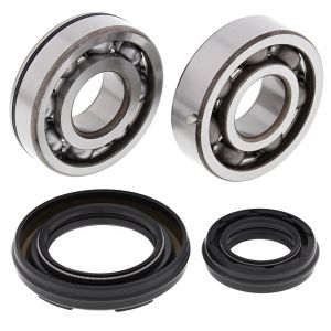 Crank Bearing and Seal Kit - no. 24-1034