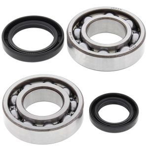 Crank Bearing and Seal Kit - no. 24-1037