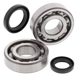 Crank Bearing and Seal Kit - no. 24-1038