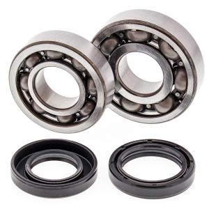 Crank Bearing and Seal Kit - no. 24-1043