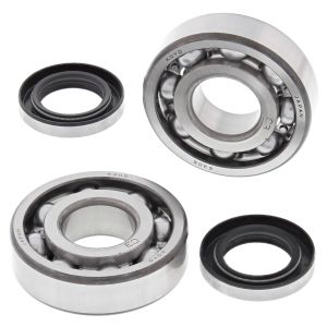 Crank Bearing and Seal Kit - no. 24-1044