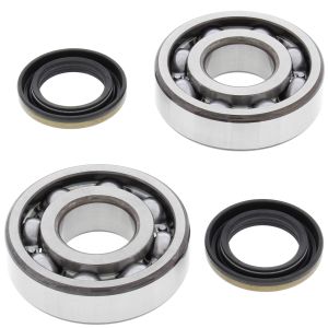 Crank Bearing and Seal Kit - no. 24-1045