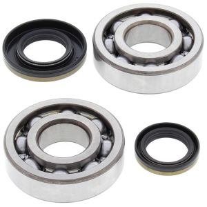 Crank Bearing and Seal Kit - no. 24-1046
