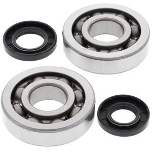 Crank Bearing and Seal Kit - no. 24-1047