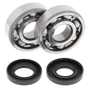 Crank Bearing and Seal Kit - no. 24-1062