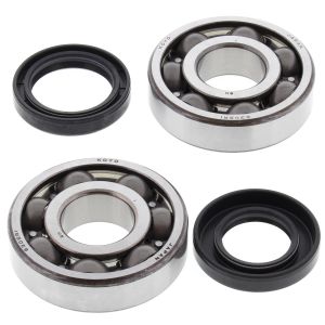 Crank Bearing and Seal Kit - no. 24-1065