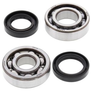 Crank Bearing and Seal Kit - no. 24-1073