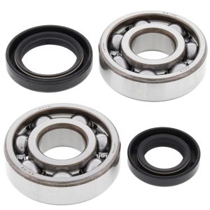 Crank Bearing and Seal Kit - no. 24-1075