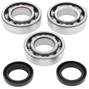 Crank Bearing and Seal Kit - no. 24-1084