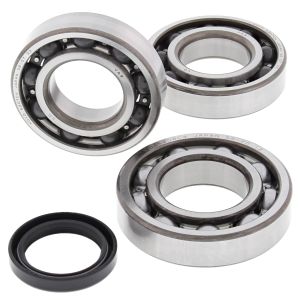 Crank Bearing and Seal Kit - no. 24-1085