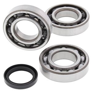 Crank Bearing and Seal Kit - no. 24-1090