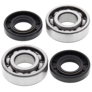 Crank Bearing and Seal Kit - no. 24-1100
