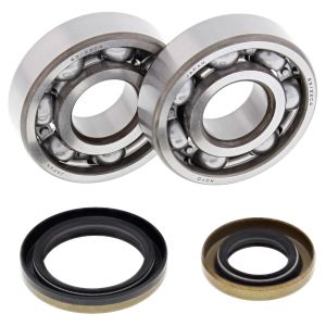 Crank Bearing and Seal Kit - no. 24-1110