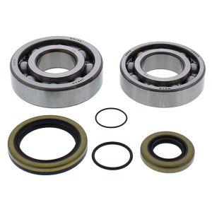 Crank Bearing and Seal Kit - no. 24-1118