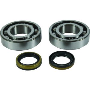 Crank Bearing and Seal Kit - no. 24-1122