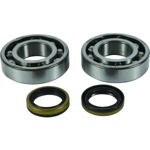 Crank Bearing and Seal Kit - no. 24-1122