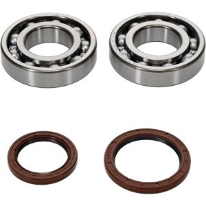 Crank Bearing and Seal Kit - no. 24-1123