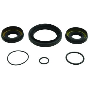 Differential Seal Kit - no. 25-2110-5