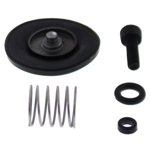 Accel. Pump Rebuild Kit - no. 46-3006