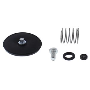 Accel. Pump Rebuild Kit - no. 46-3007
