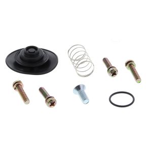 Diaphragm Repair Kit - no. 60-1302