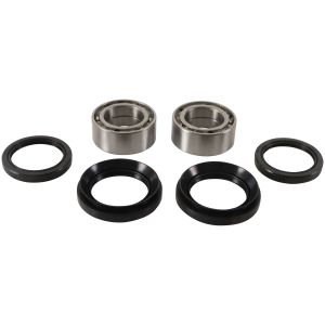PW-Wheel Bearing Kit - no. PWFWK-H20-003